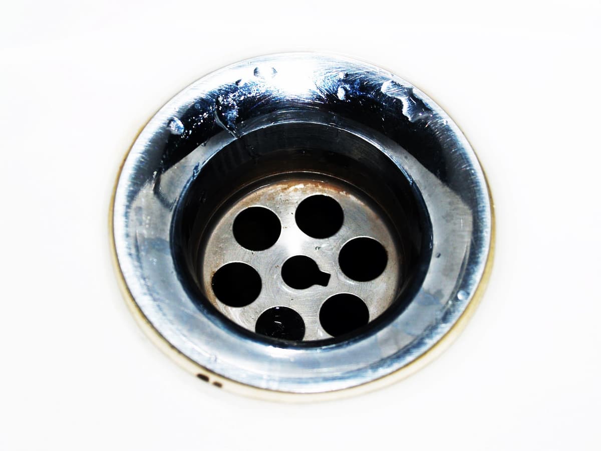 Sewer camera screen showing tree roots inside a drain line
