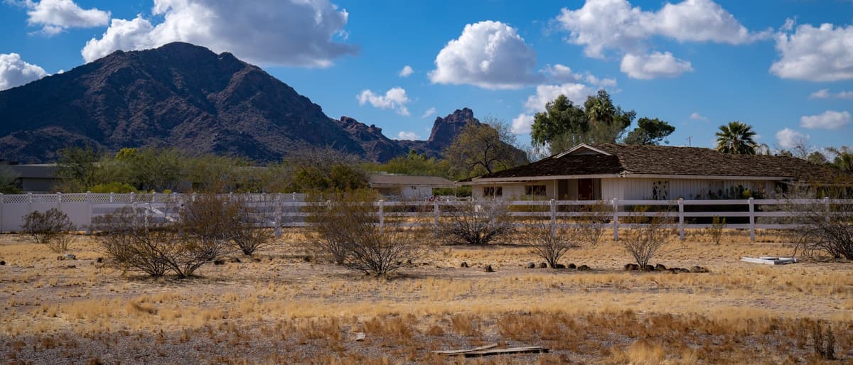 Phoenix neighborhood street on a hot summer afternoon